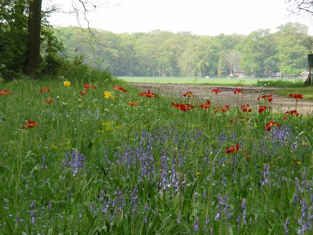 Twentekiek Villa Delden Ruang foto
