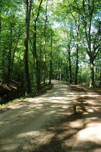 Twentekiek Villa Delden Bagian luar foto