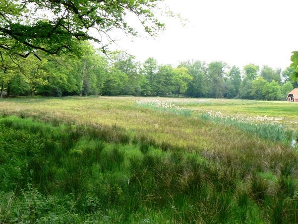 Twentekiek Villa Delden Bagian luar foto