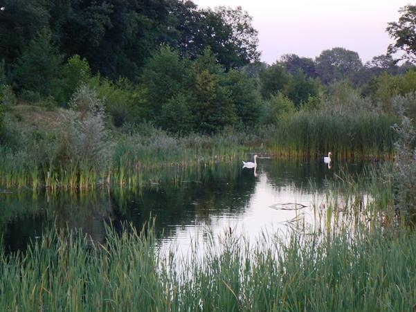 Twentekiek Villa Delden Bagian luar foto